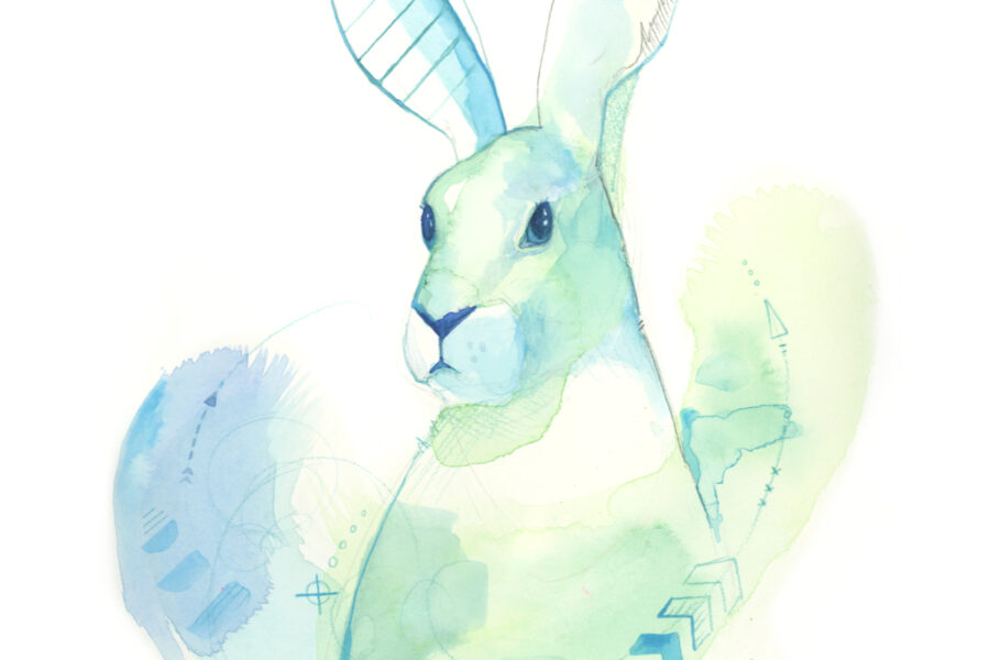 Calypso