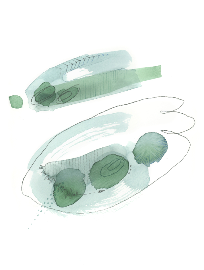 Image module